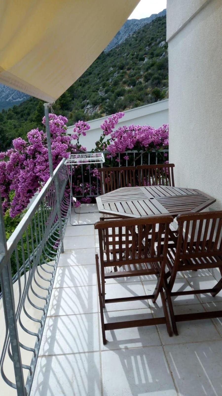 Apartments Villa Vida オレビック エクステリア 写真